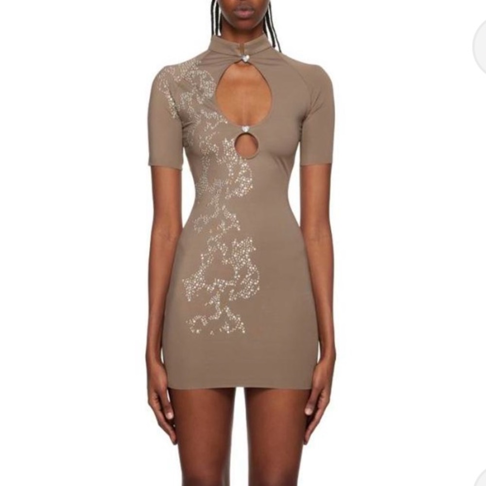 Poster Girl Embroidered Taupe Mini Dress